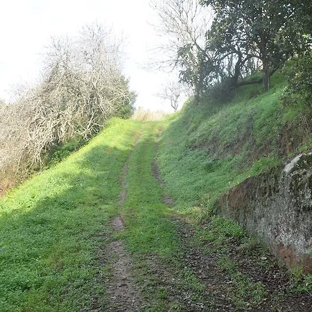 Quinta Do Bom Vento Venkovský dům Óbidos