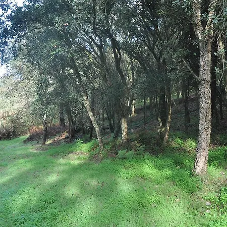 Casa di campagna Quinta Do Bom Vento *