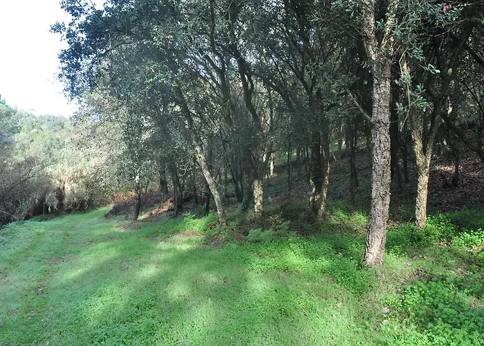 Casa rural Quinta Do Bom Vento *