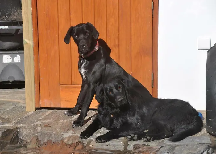 Quinta Do Bom Vento Landsted *